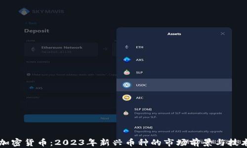 
新币加密货币：2023年新兴币种的市场前景与技术分析