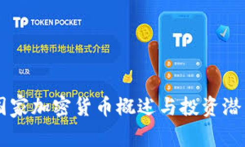 印度国家加密货币概述与投资潜力分析