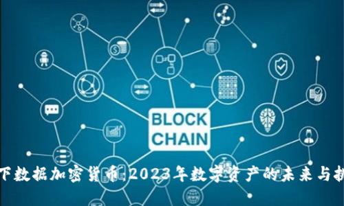 天下数据加密货币:2023年数字资产的未来与挑战