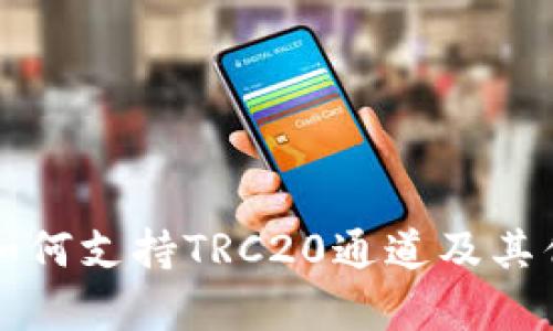 TP钱包如何支持TRC20通道及其优势解析