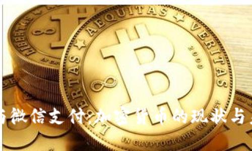 支付宝与微信支付:加密货币的现状与未来展望