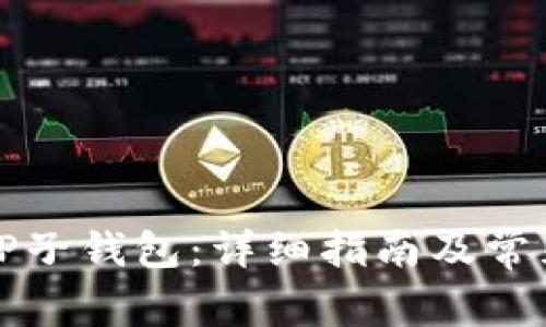 如何找回TP子钱包:详细指南及常见问题解析