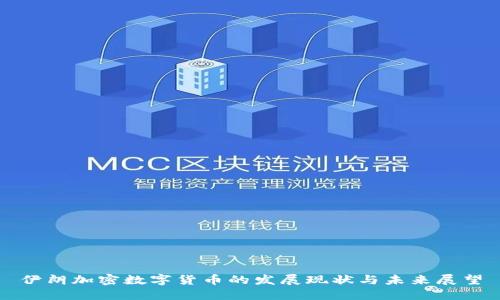 伊朗加密数字货币的发展现状与未来展望