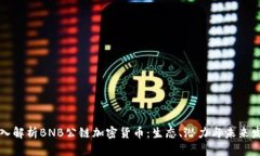 深入解析BNB公链加密货币:生态、潜力与未来发