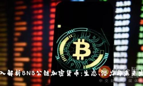 深入解析BNB公链加密货币:生态、潜力与未来发展