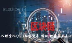 深入探索Plachip加密货币:创新、投资与未来潜力