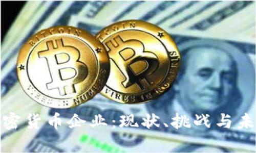 揭秘国内加密货币企业:现状、挑战与未来发展趋势