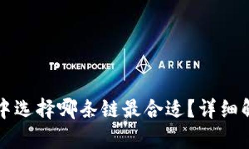 屎币在TP钱包中选择哪条链最合适？详细解析与用户指南