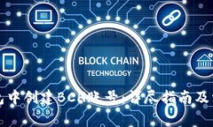 如何在TP钱包中创建BCH账号：详尽指南及常见问题