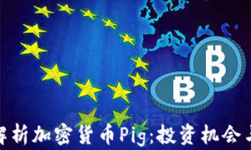 
全面解析加密货币Pig：投资机会与风险