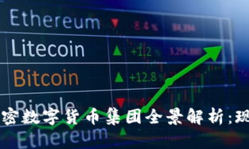 2023年中国加密数字货币集团全景解析：现状、趋势与未来