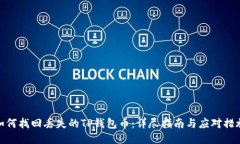 如何找回丢失的TP钱包币：详尽指南与应对措施