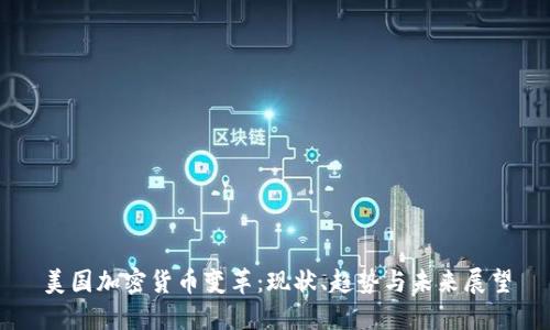 美国加密货币变革：现状、趋势与未来展望