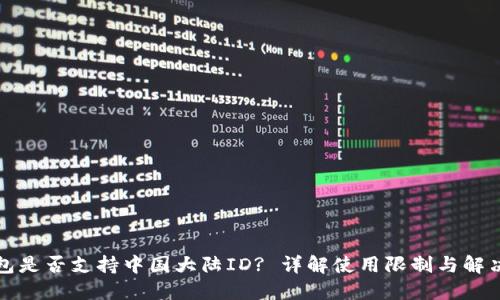 TP钱包是否支持中国大陆ID? 详解使用限制与解决方案