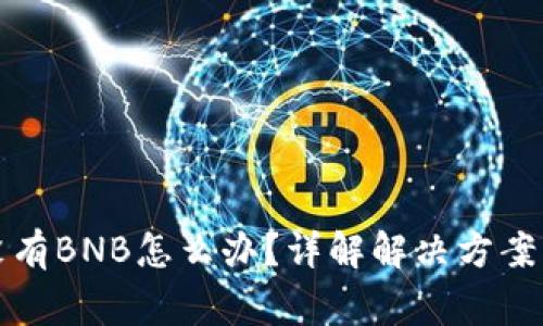TP钱包中没有BNB怎么办？详解解决方案与常见问题
