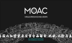 2023年国内加密货币交易全面解析：现状、风险与
