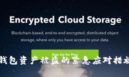 如何处理TP钱包资产被盗的紧急应对措施与安全防范