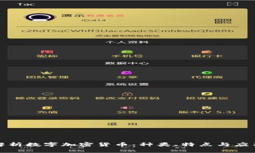 全面解析数字加密货币：种类、特点与应用价值