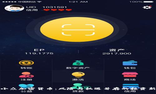 探索小众加密货币：风险与机遇并存的投资新选择