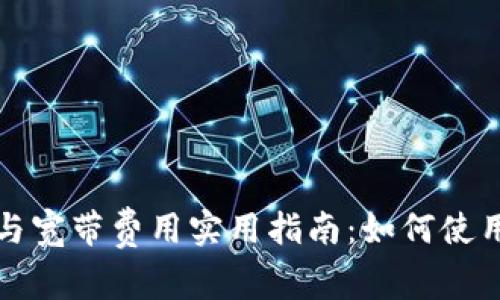 TP钱包能量管理与宽带费用实用指南：如何使用成本并提升收益