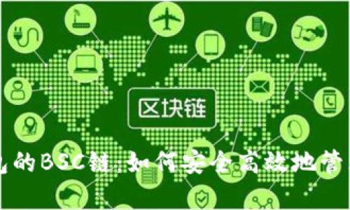 全面解析TP钱包的BSC链：如何安全高效地管理你的数字资产