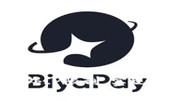 如何使用TP钱包应对海外IP限制，实现全球数字资