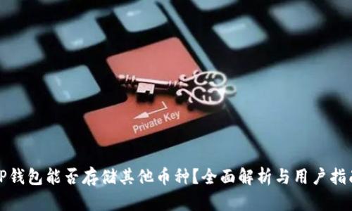 TP钱包能否存储其他币种？全面解析与用户指南