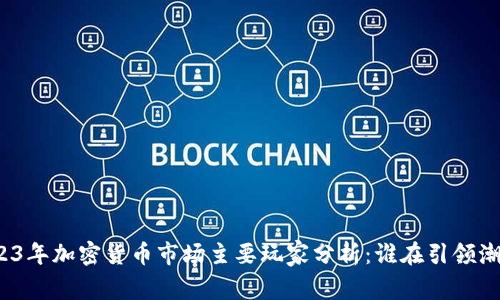 2023年加密货币市场主要玩家分析：谁在引领潮流？