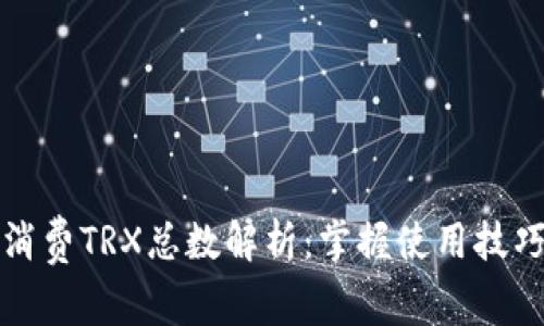 TP钱包消费TRX总数解析：掌握使用技巧与收益