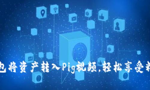 如何使用TP钱包将资产转入Pig视频，轻松享受精彩内容的指南