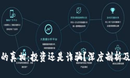 加密货币的真相：投资还是诈骗？深度剖析及风险警示