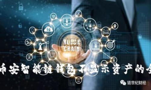 解决TP币安智能链钱包不显示资产的全面指南