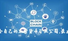 如何选择适合自己的加密货币矿业公司，最大化