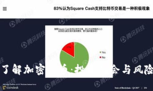 深入了解加密货币：投资机会与风险分析