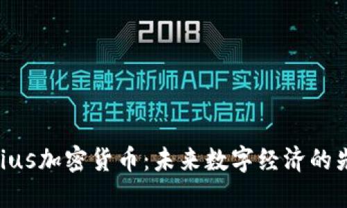 Risius加密货币：未来数字经济的先锋