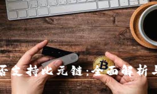 TP钱包是否支持比元链：全面解析与使用指南