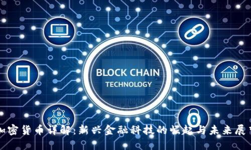 加密货币详解：新兴金融科技的崛起与未来展望