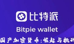 国产加密货币：崛起与挑战