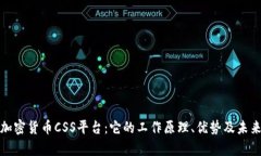 全面解析加密货币CSS平台：它的工作原理、优势
