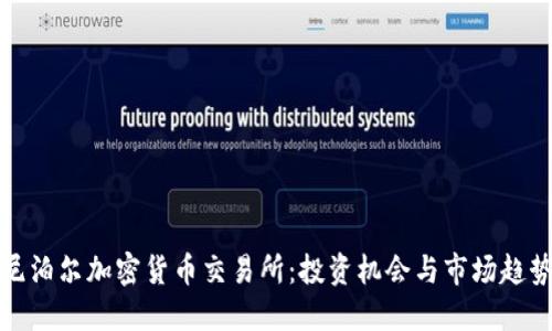 尼泊尔加密货币交易所：投资机会与市场趋势