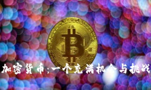 流氓大亨玩加密货币：一个充满机会与挑战的投资世界