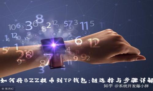 如何将BZZ提币到TP钱包：链选择与步骤详解