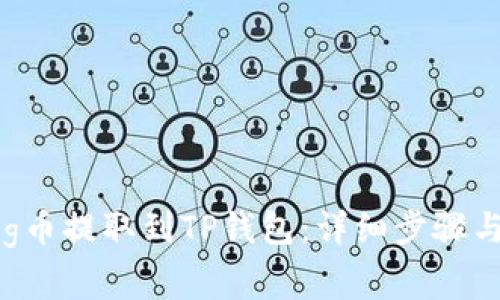 如何将Dog币提取到TP钱包：详细步骤与注意事项