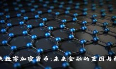 蓝天数字加密货币：未来金融的蓝图与机遇