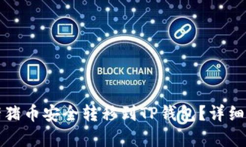 如何将猪猪币安全转移到TP钱包？详细步骤解析